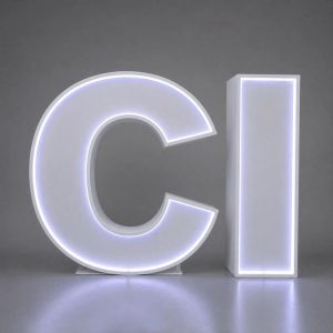 Custom Neon LED Strip Light Letter Sign
